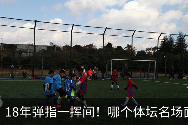 18年弹指一挥间！哪个体坛名场面，能让你一秒回到2008年北京奥运会的夏天？